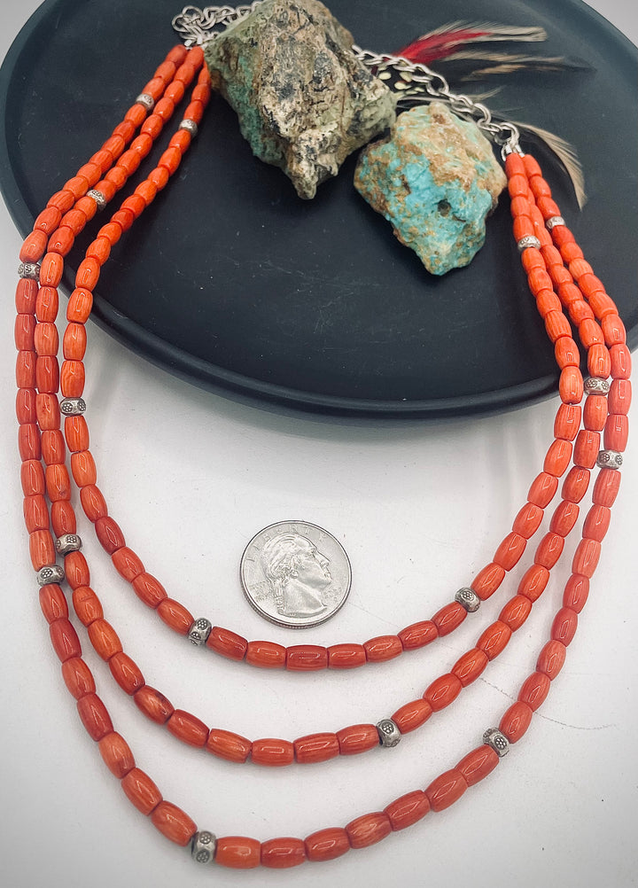 Coral & Sterling Nest