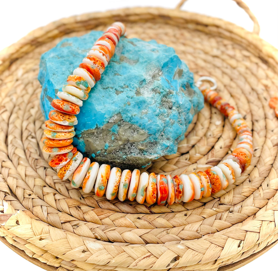 Graduated Spiny Oyster & Turquoise