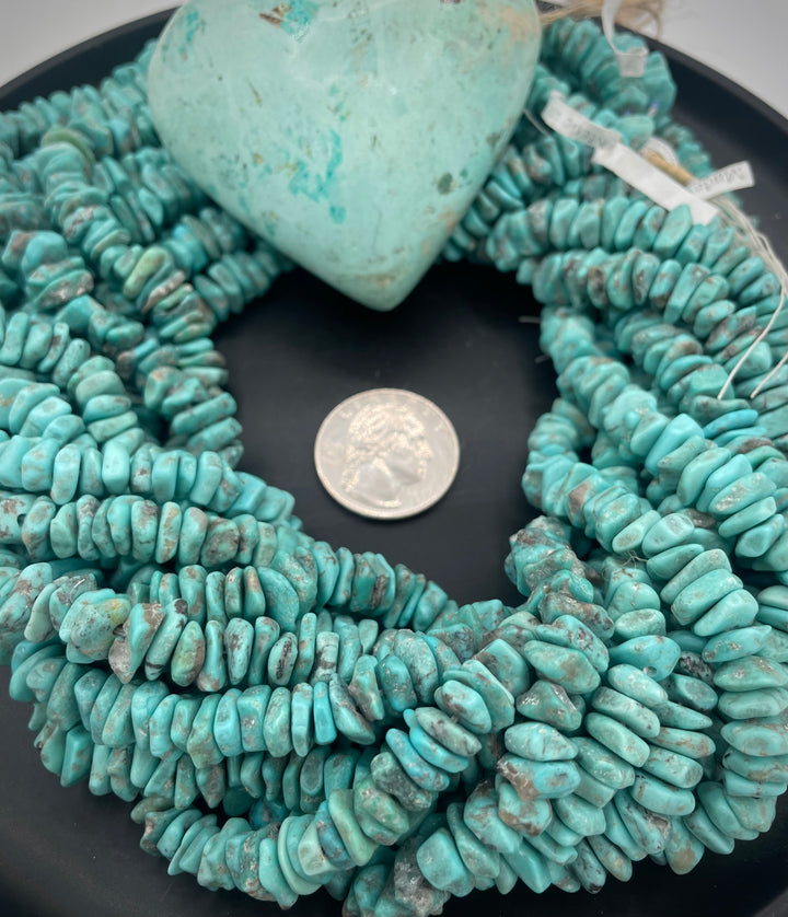 Campitos Turquoise 350 grams